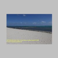 38749 18 069 Colliers Beach,  Grand Cayman, Karibik-Kreuzfahrt 2020.JPG